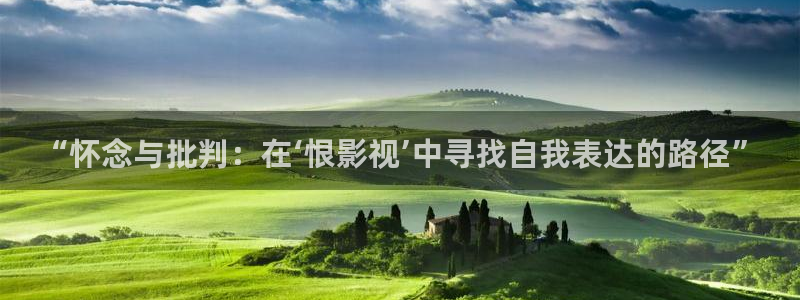 飘雪影院电影在线观看记录：“怀念与批判：在‘恨影视’中寻找自我表达的路径”