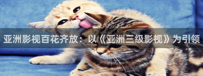 星辰飘雪影院：亚洲影视百花齐放：以《亚洲三级影视》为引领