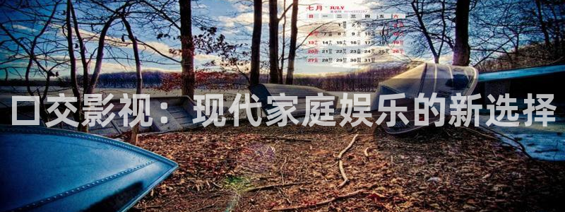 飘雪影院免费完整版：口交影视：现代家庭娱乐的新选择