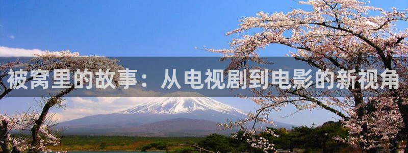 飘雪影院高清电影电视剧免费观看：被窝里的故事：从电视剧到电影的新视角