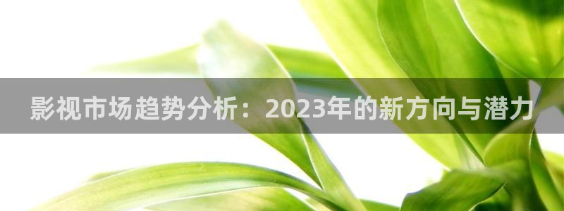 飘雪影院我不卡：影视市场趋势分析：2023年的新方向与潜力