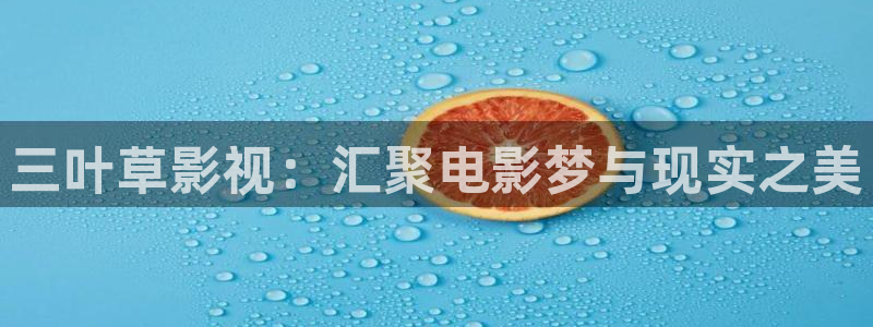 飘雪影院免费版在线观看：三叶草影视：汇聚电影梦与现实之美