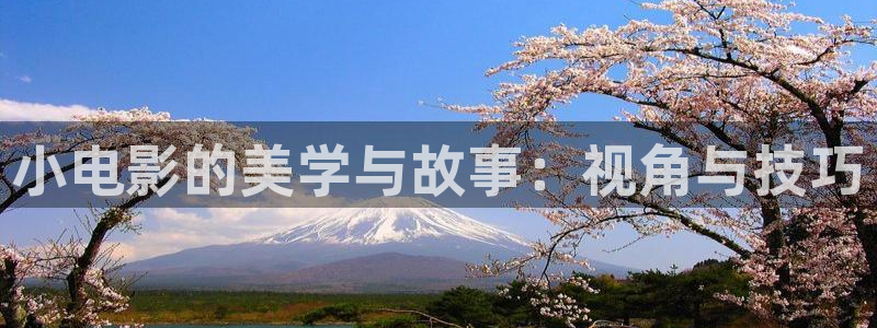 5g影院飘雪影院：小电影的美学与故事：视角与技巧