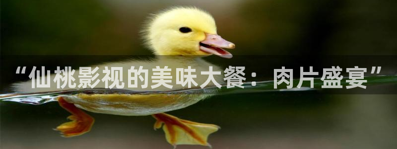 飘雪影视在线观看：“仙桃影视的美味大餐：肉片盛宴”
