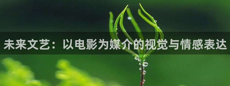 飘雪影院高清电影电视剧免费观看：未来文艺：以电影为媒介的视觉与情感表达